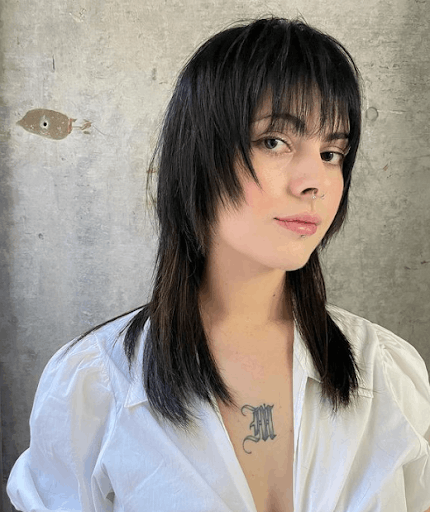 Disconnected Wolf Cut Hair Style